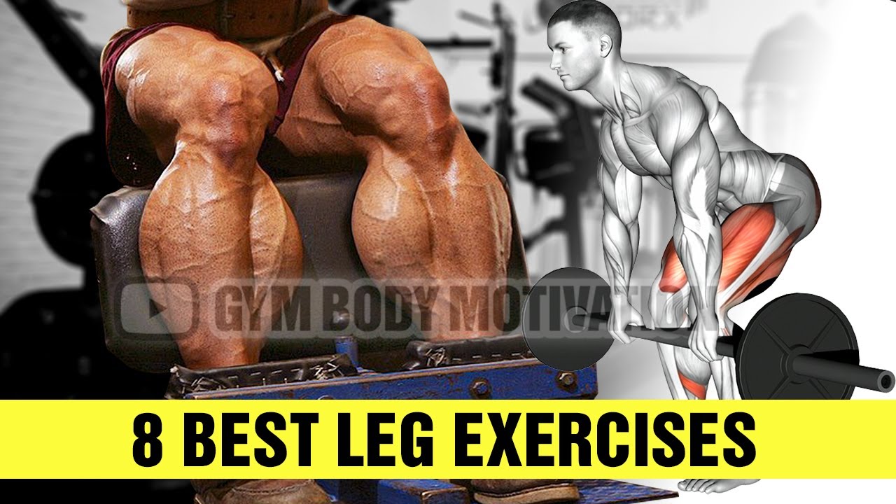 The PERFECT Leg Workout – 8 Best Leg Exercises – Cable arm workout