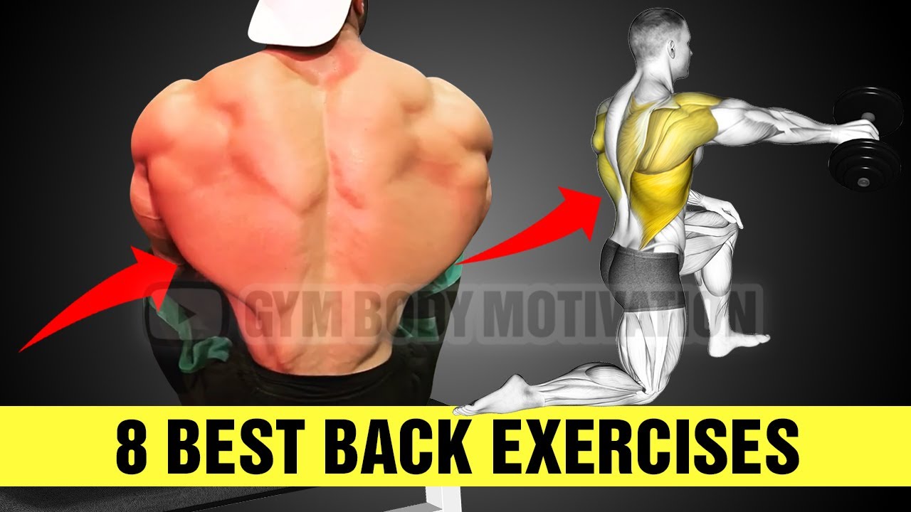 8 Super Effective Back Exercises At Gym – Gym Body Motivation – Cable ...